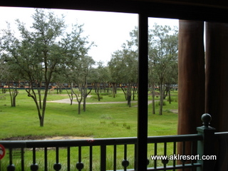 Savanna view 3